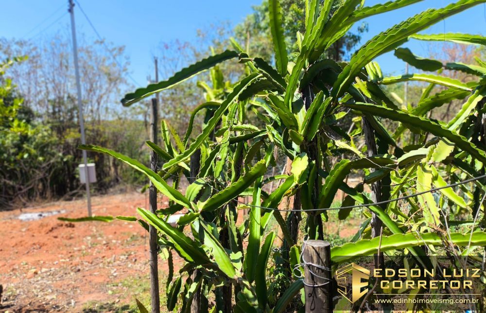 357 - Chácara &agrave; venda no bairro Chácara Pavão - Edinho Im&oacute;veis 0