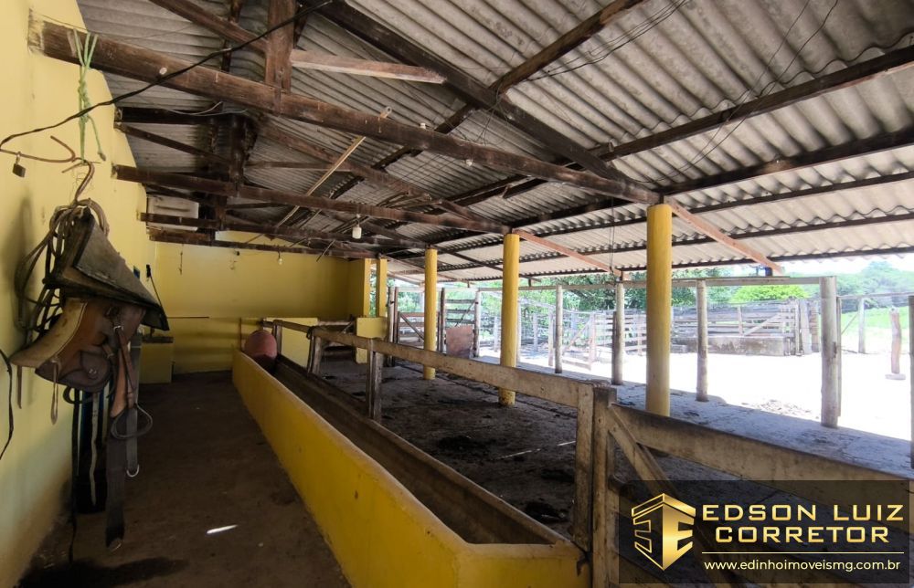 368 - Fazenda &agrave; venda no bairro Fazenda - Edinho Im&oacute;veis 13