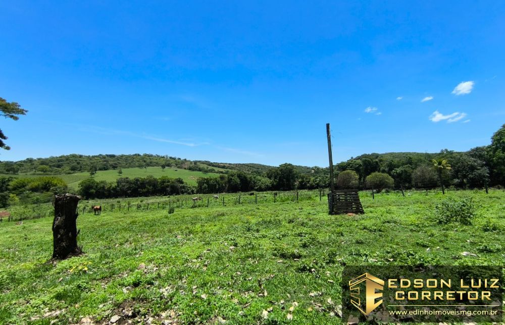 368 - Fazenda &agrave; venda no bairro Fazenda - Edinho Im&oacute;veis 18