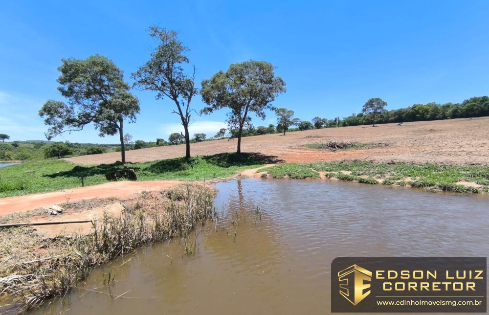 368 - Fazenda &agrave; venda no bairro Fazenda - Edinho Im&oacute;veis 22