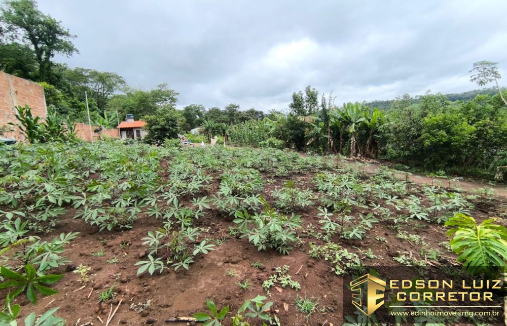 372 - Chácara &agrave; venda no bairro Chacara Padre Liberio - Edinho Im&oacute;veis 5