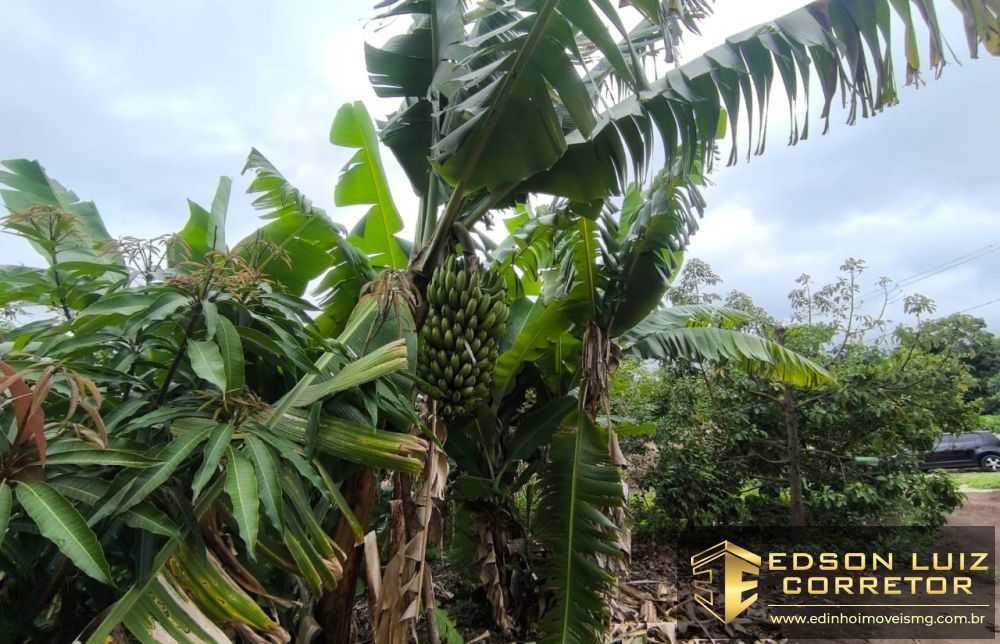 372 - Chácara &agrave; venda no bairro Chacara Padre Liberio - Edinho Im&oacute;veis 7